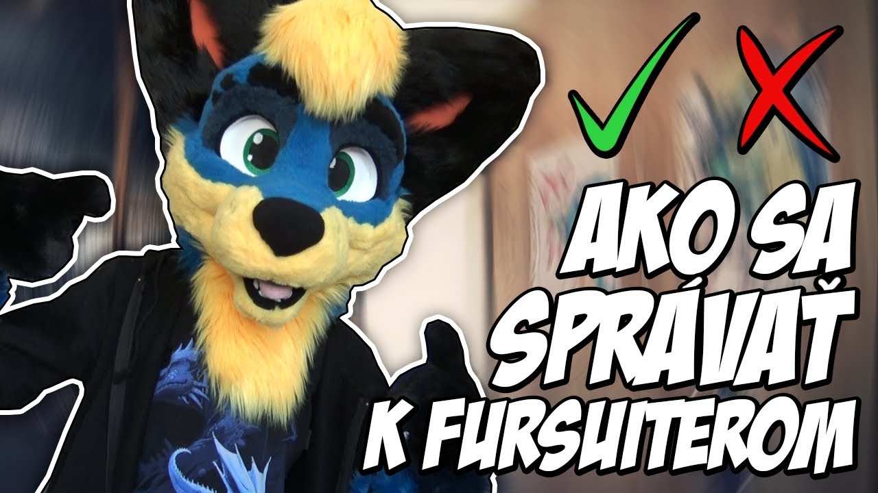 AKO SA SPRÁVAŤ K FURSUITEROM