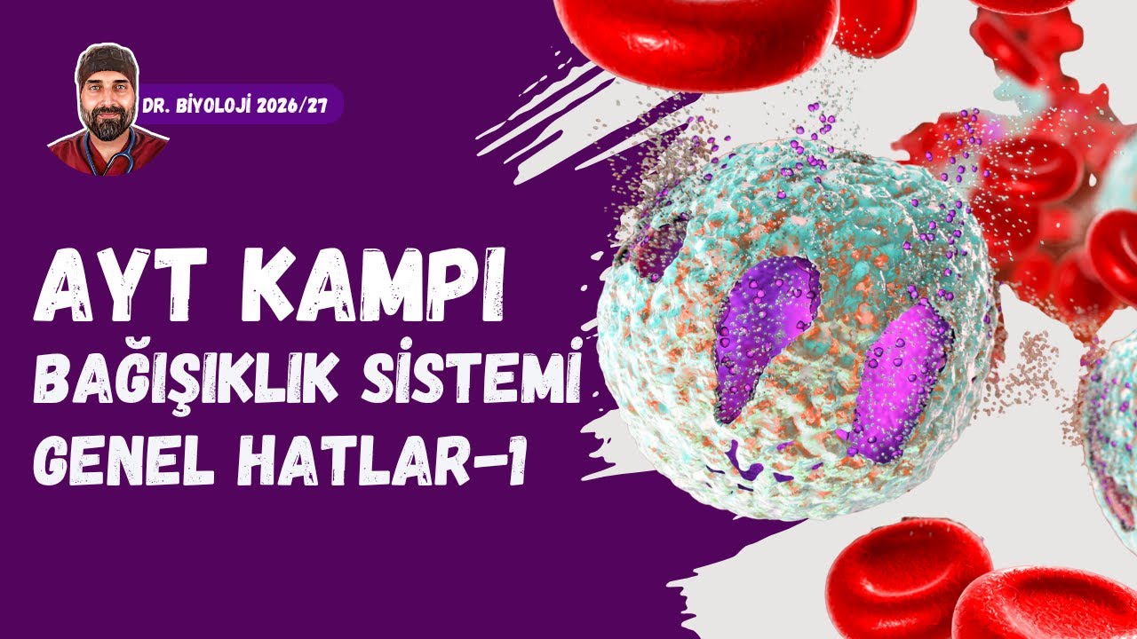 Bağışıklık Sistemi 1 | Dr. Biyoloji | AYT Dönem 2026 - 2027