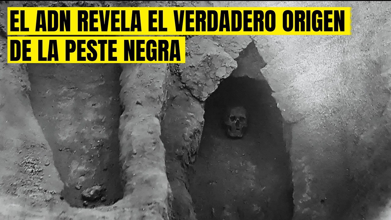 El ADN revela por fin el verdadero origen de la peste negra