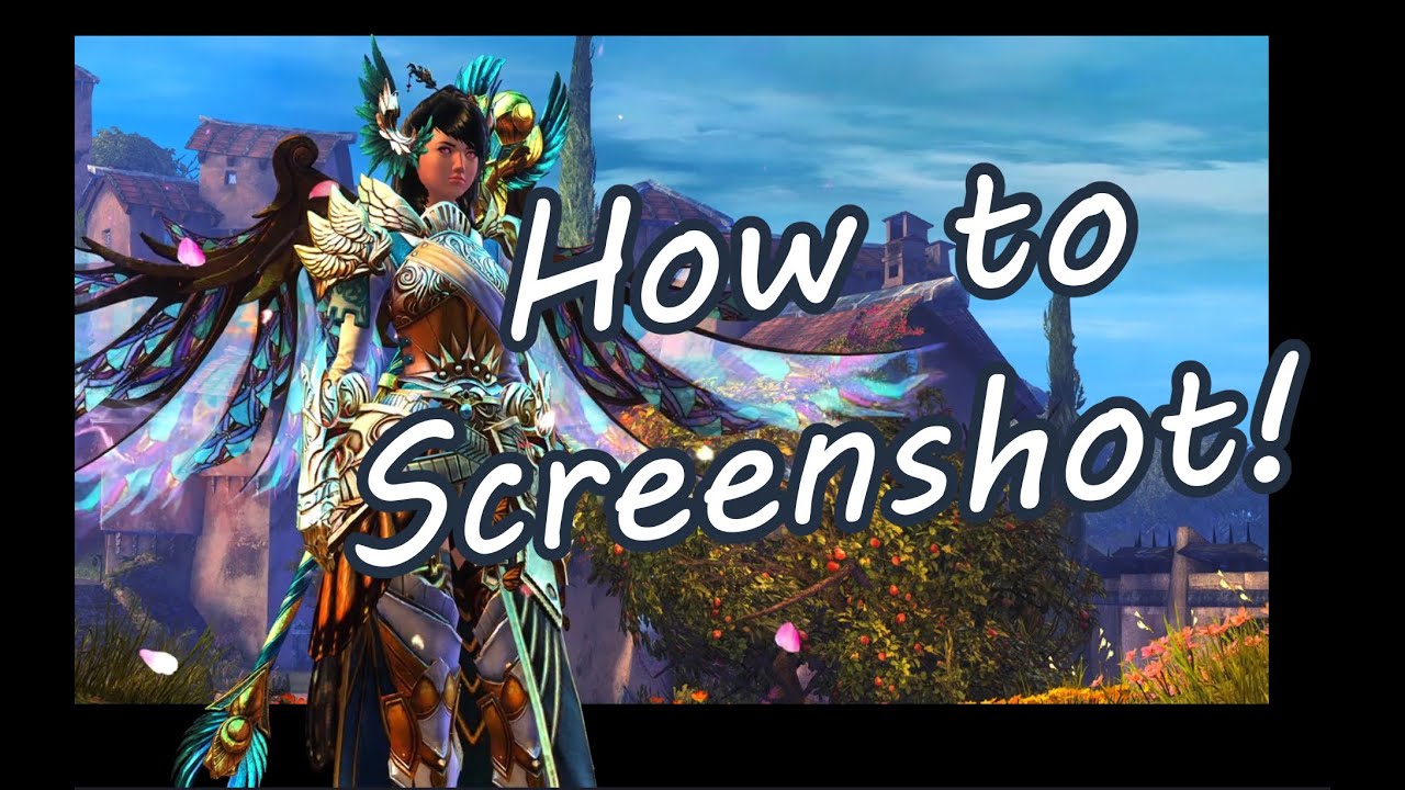 How To Take Good Screenshots In GW2