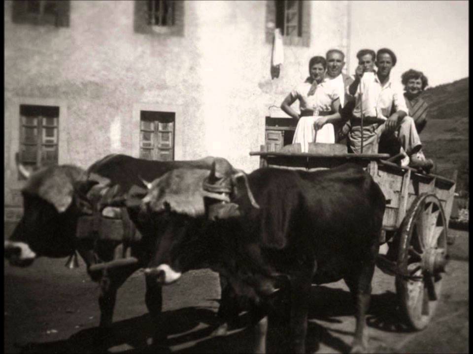 VIVA EL VALLE POLACIONES