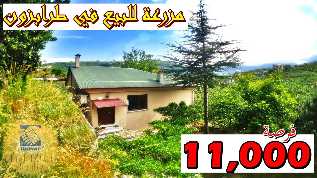 مزرعة للبيع في طرابزون تركيا ارض مستوية اشجار بندق مع بيتين وبئر ماء تطابق شروط تملك الاجانب 2021