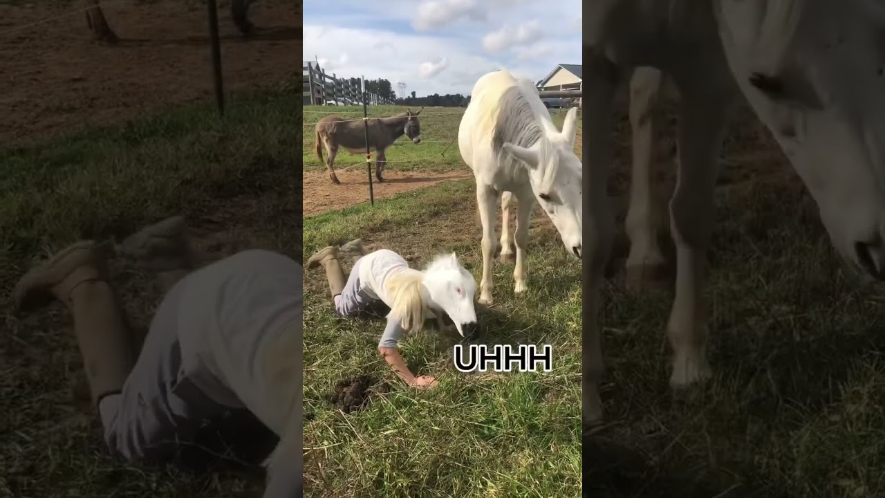 Dressed up as Dixie to surprise her… 