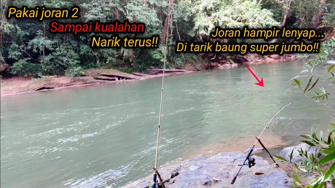 Sampai kualahan mancing baung di sungai arus deras!! spotnya ikan mahseer