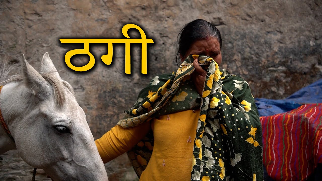 Ham kisi ko pareshan nahi karne gaye they | Horse rescue story