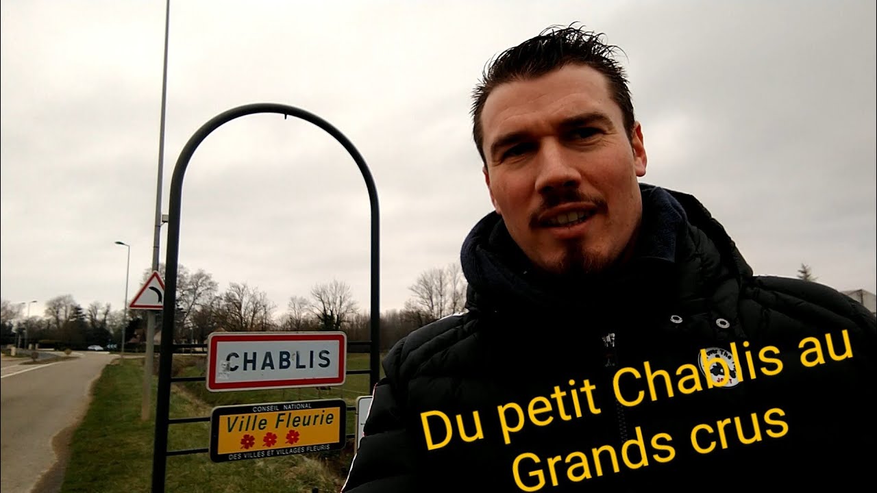 Le vignoble de Chablis