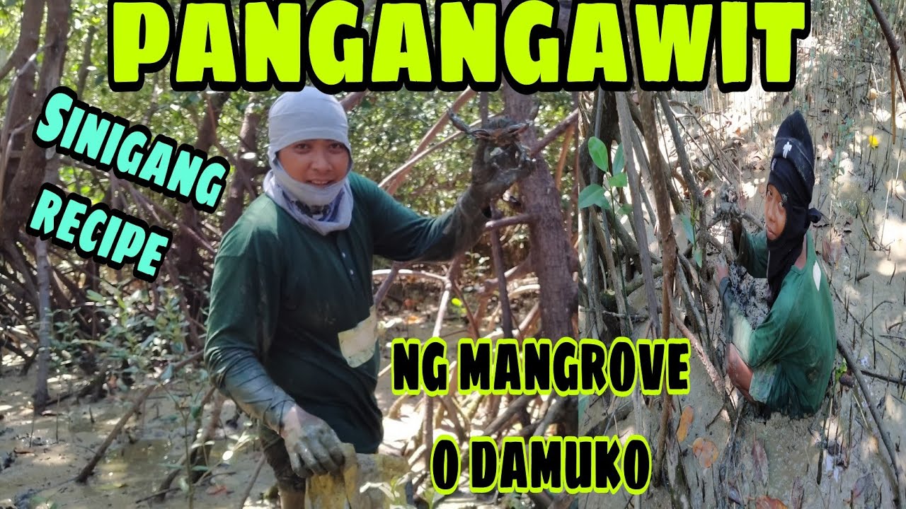 CATCH N COOK | pangangawit Ng mangrove crab o damuko | Sinigang recipe |