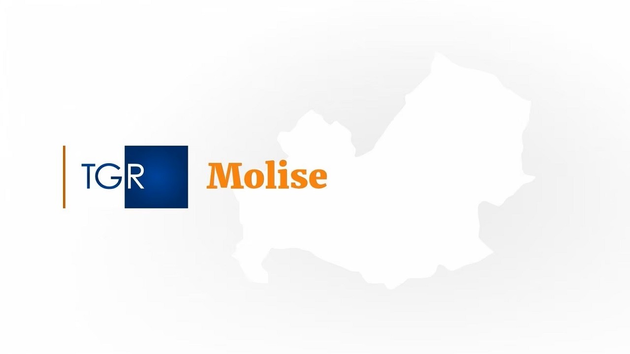 RAI3 TGR MOLISE - Incidente sul lavoro, operaio in Rianimazione - (11-03-2026)