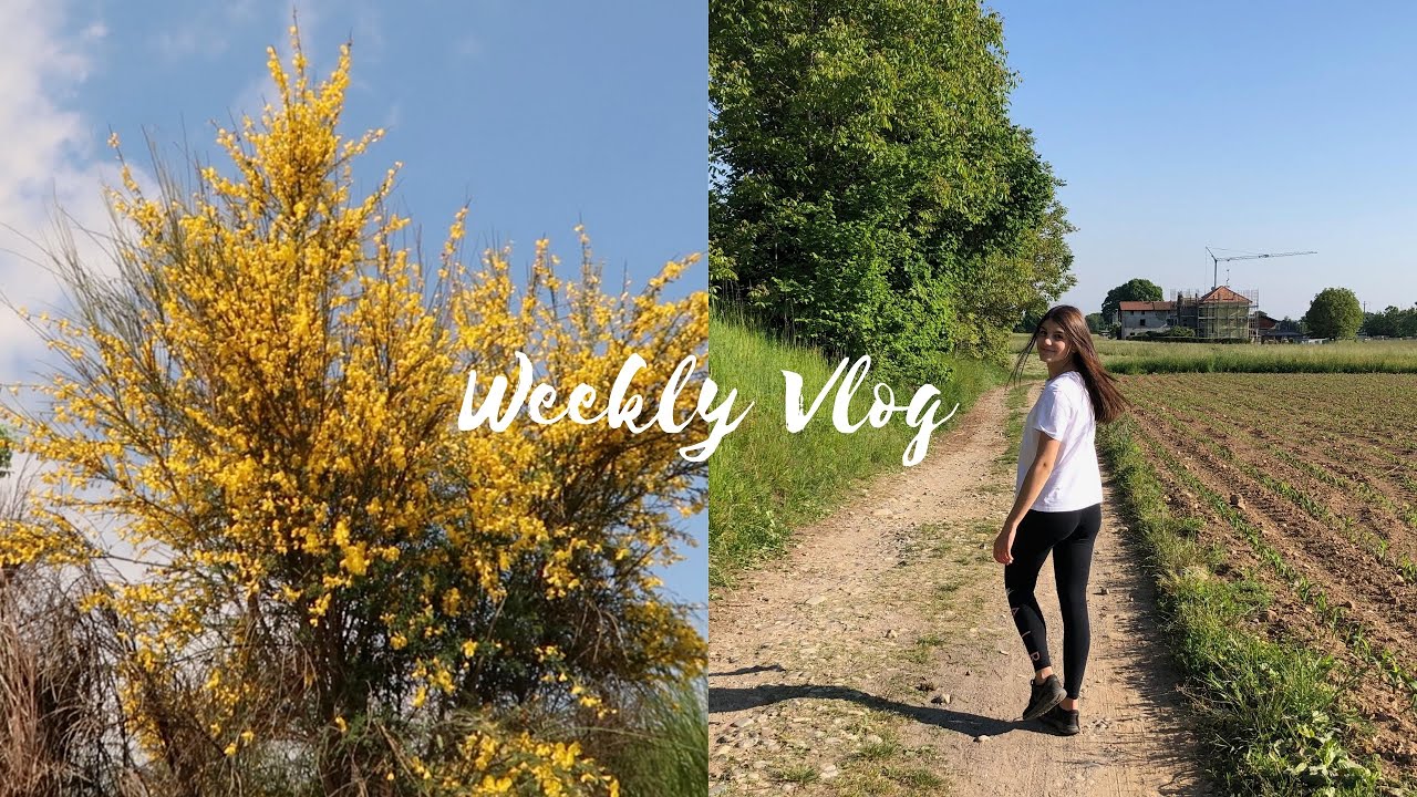 VLOG: Esco dopo 63 giorni & Pacchi con cose per la casa | Valeria Martinelli