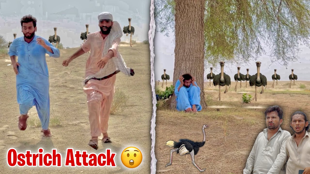 Ye Kia Kia Dikh Rha Hai Aj Kal😲😂 | Comedy Video | Crazy TV
