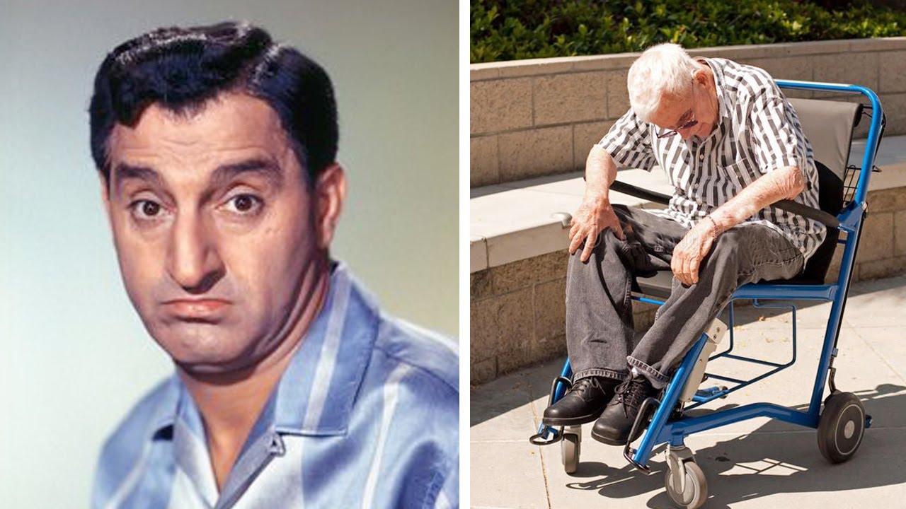 MAKE ROOM FOR GRANDDADDY (1970-1971) Cast Then and Now ⭐⭐⭐2023 [52 Years After]