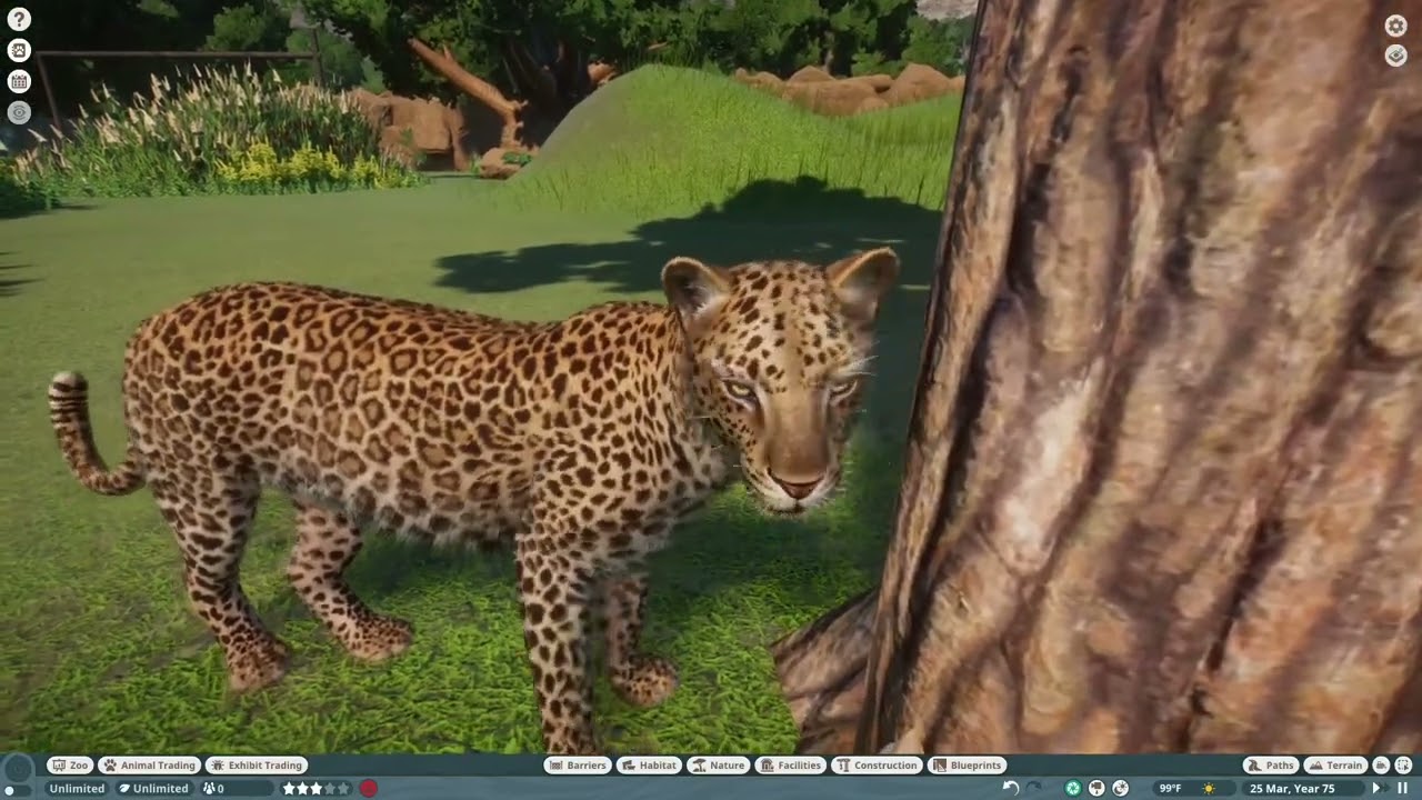 African leopard family in Planet zoo