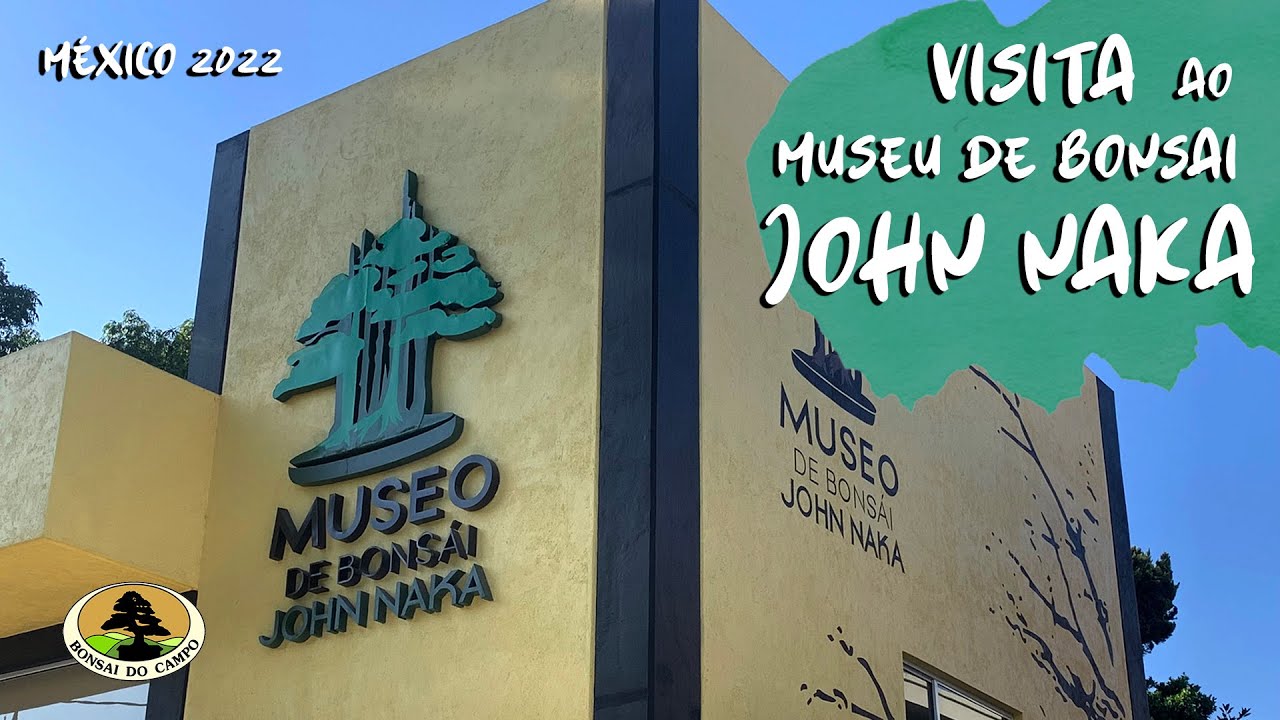 VISITA AO MUSEU DE BONSAI 