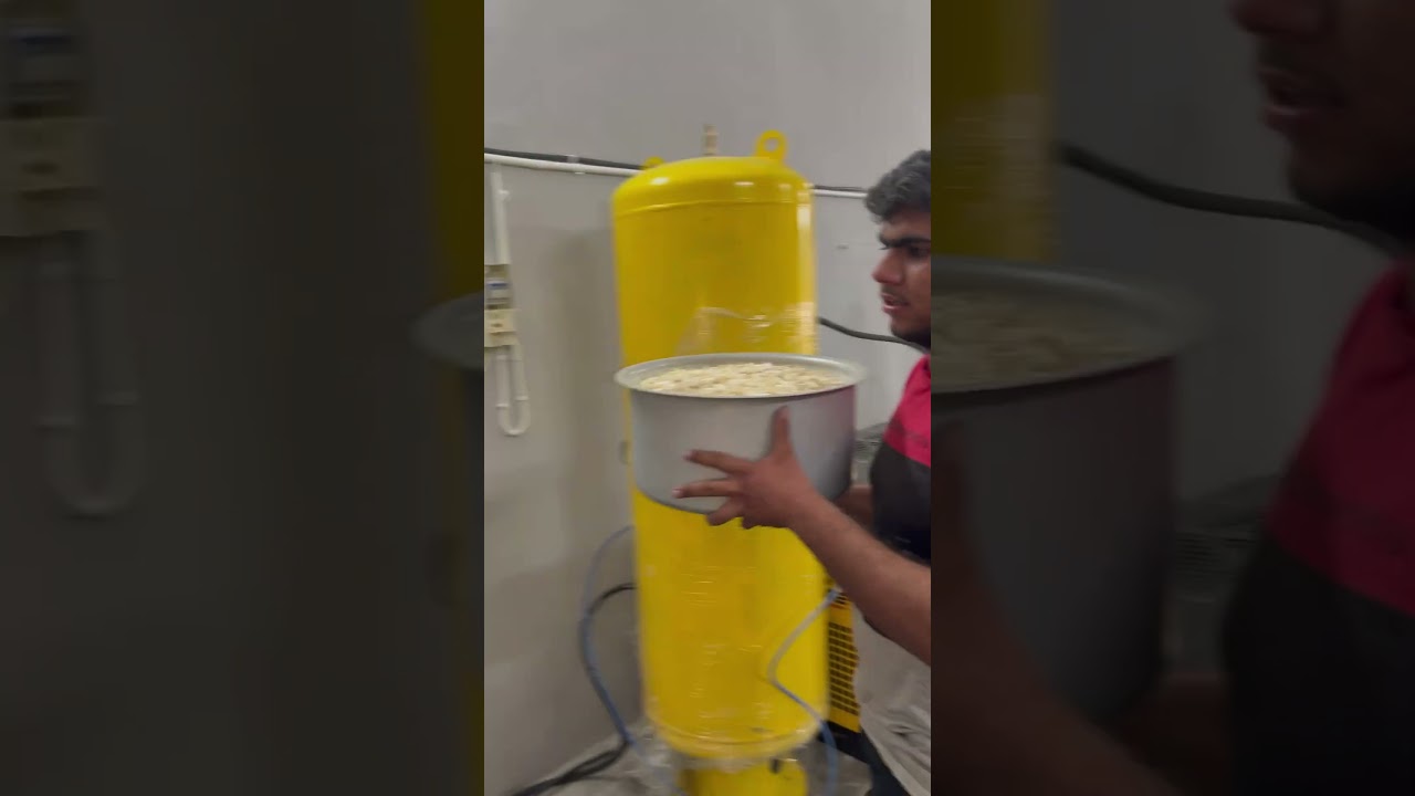 100kg garlic peeling machine | Gajanand industries | mo:- +917016634150