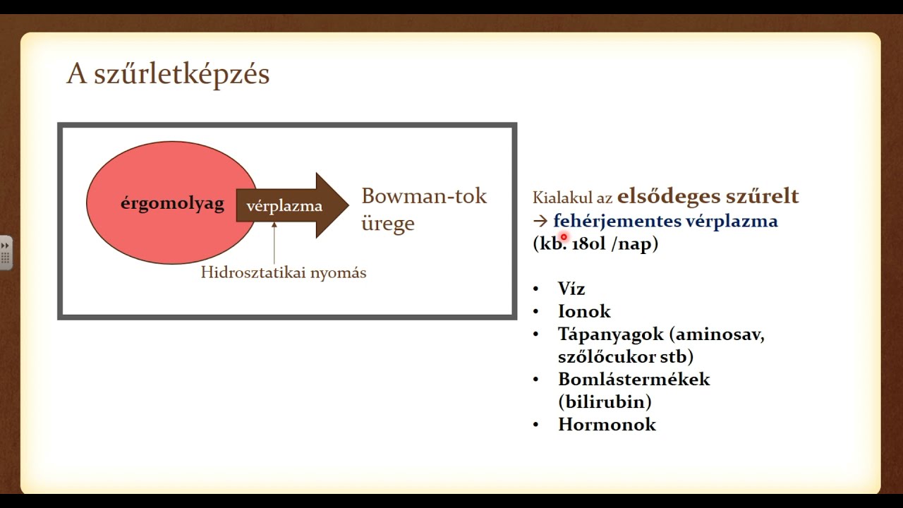 Vese &eacute;s a szűrlet