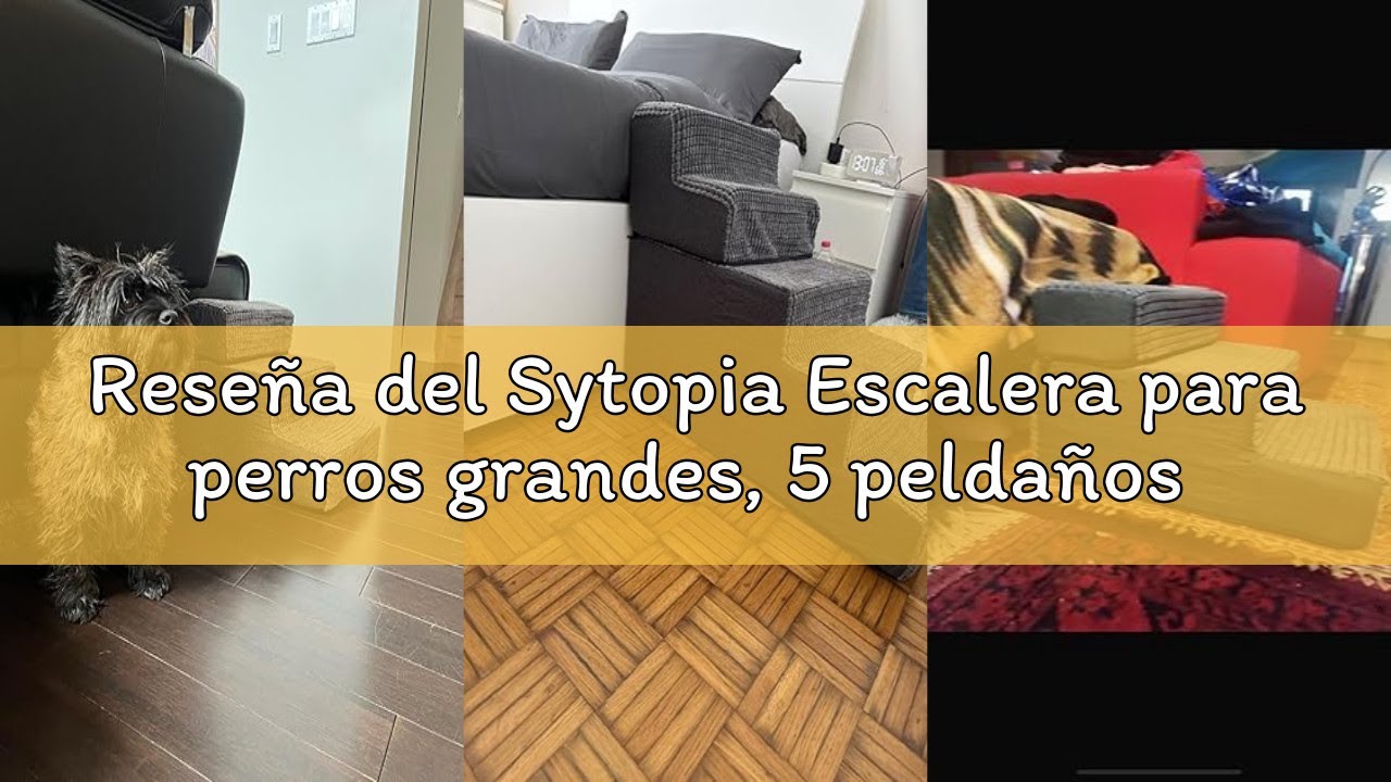 Reseña del Sytopia Escalera para perros grandes, 5 peldaños de altura, para cama de 60 cm, lavable,