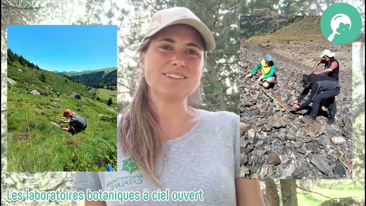Laboratoires botaniques à ciel ouvert de l'est des Pyrénées.