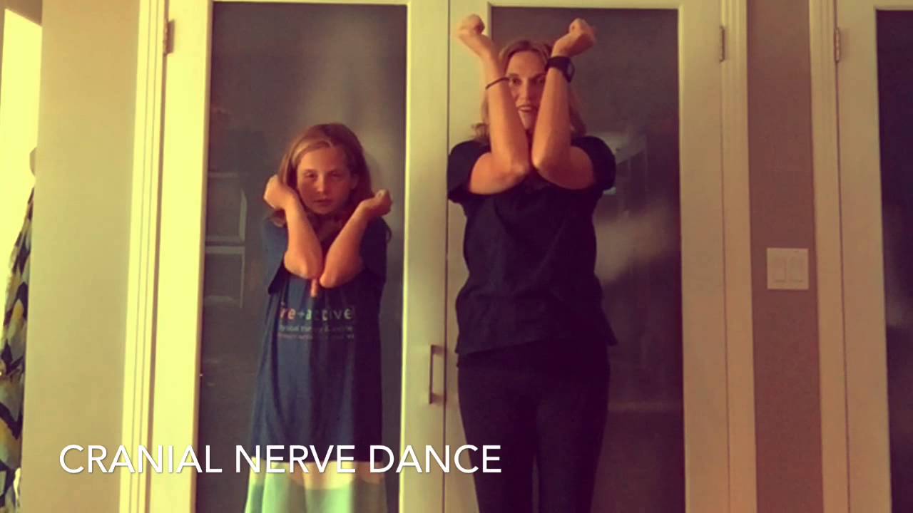 neuroanatomy cranial nerve dance