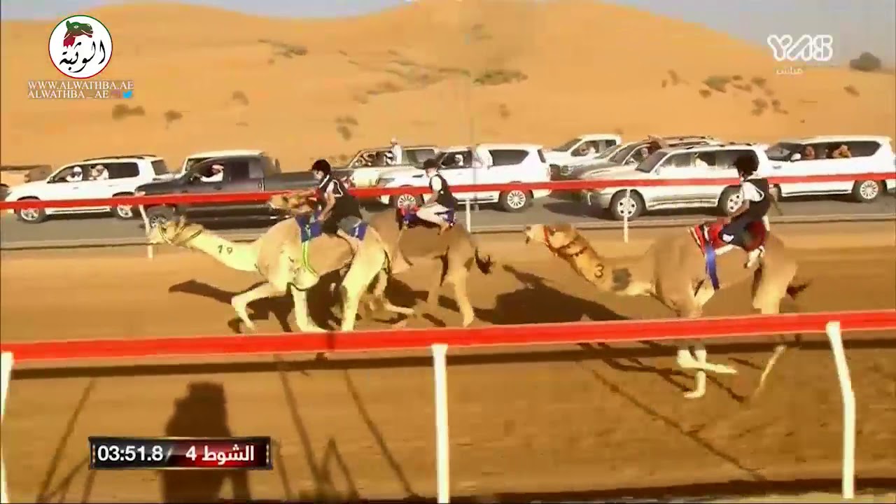 الشوط 4 (مذخور) لـ شاهين سلطان العواني 4:47:1 ، مهرجان محمد بن زايد 2021/2/6 اللبسه السباق التراثي