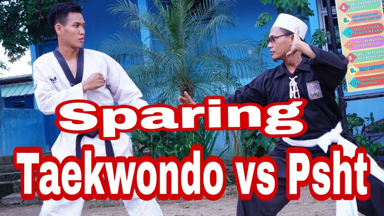 Sparring Taekwondo VS PSHT