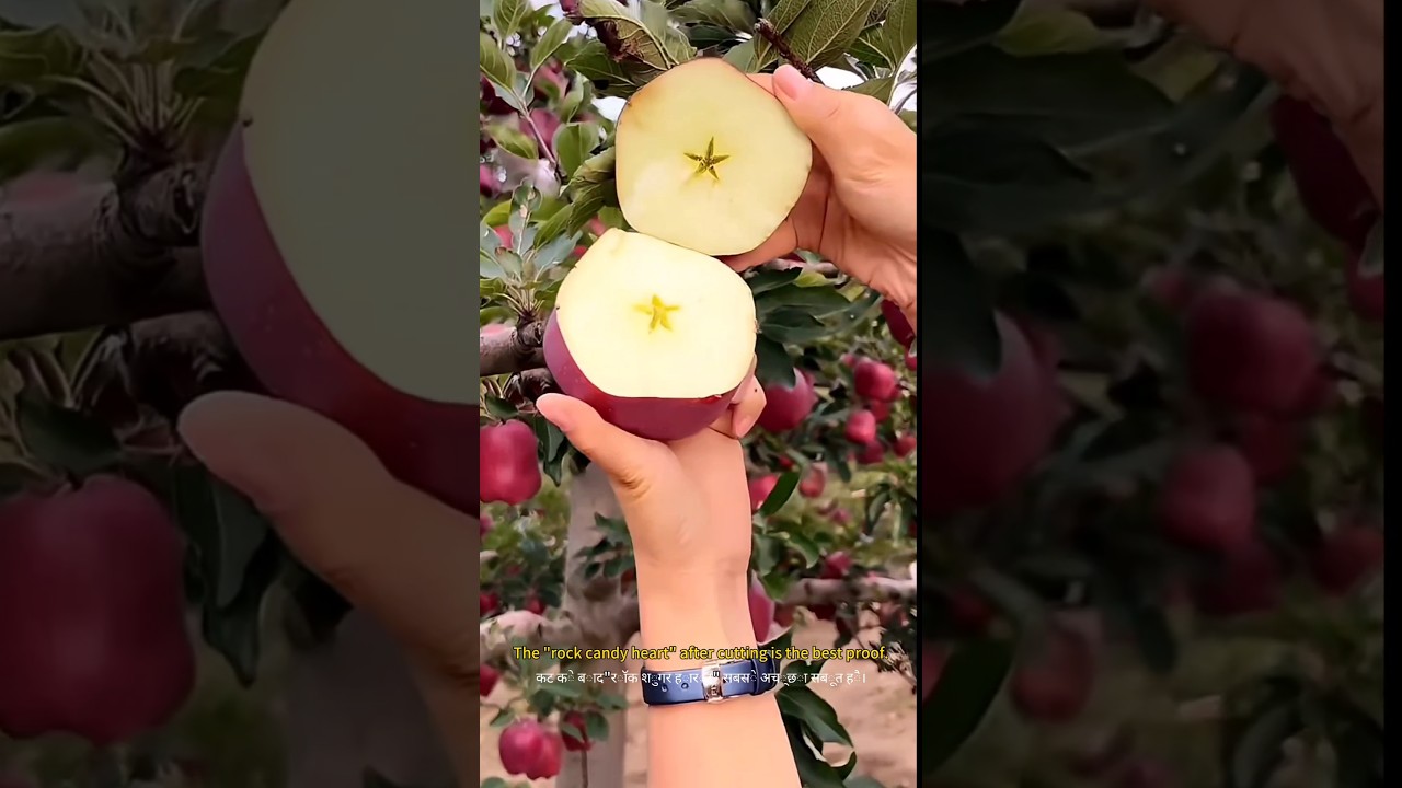 How to Tell if Fruit is PERFECTLY Ripe? 🍎 #fruit # Shorts # Natura