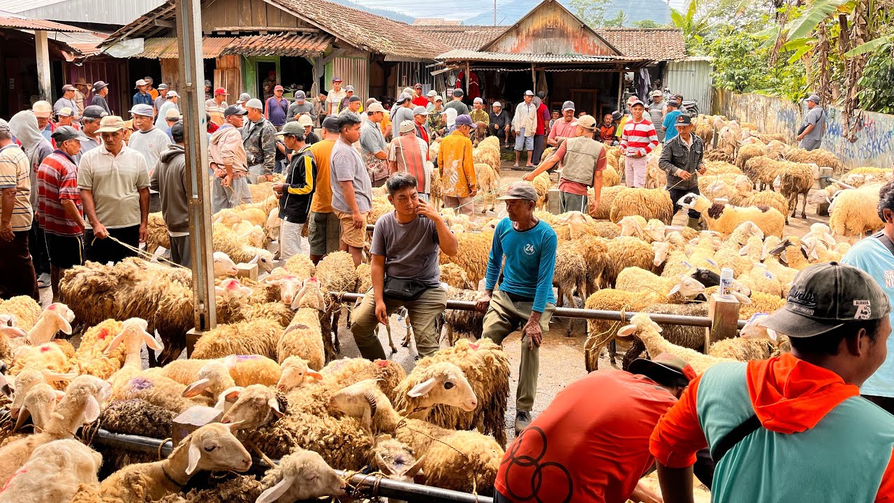 FULLLLL PASAR PINGIT TEMAGGUNG SAAT INI 