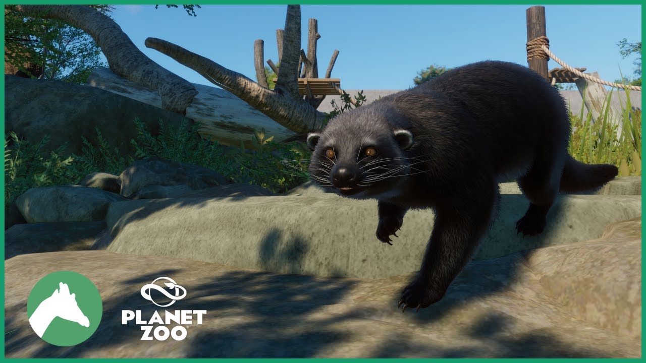 Binturong Enclosure | Elm Hill City Zoo | Planet Zoo