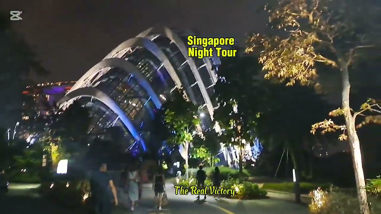Singapore Night Tour #travel #marinabaysingapore #singapore #views 