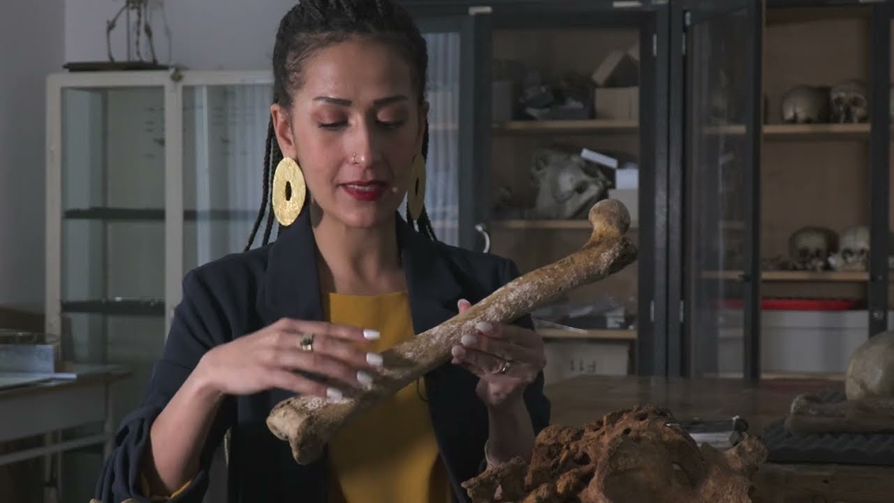 Paleopathology