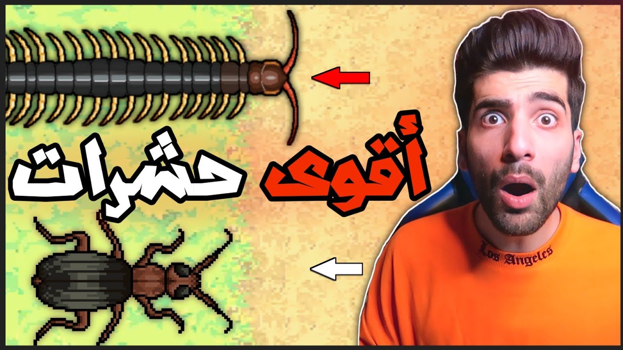 طريقة صيد الحشرات القوية حرب النمل | Pocket Ants