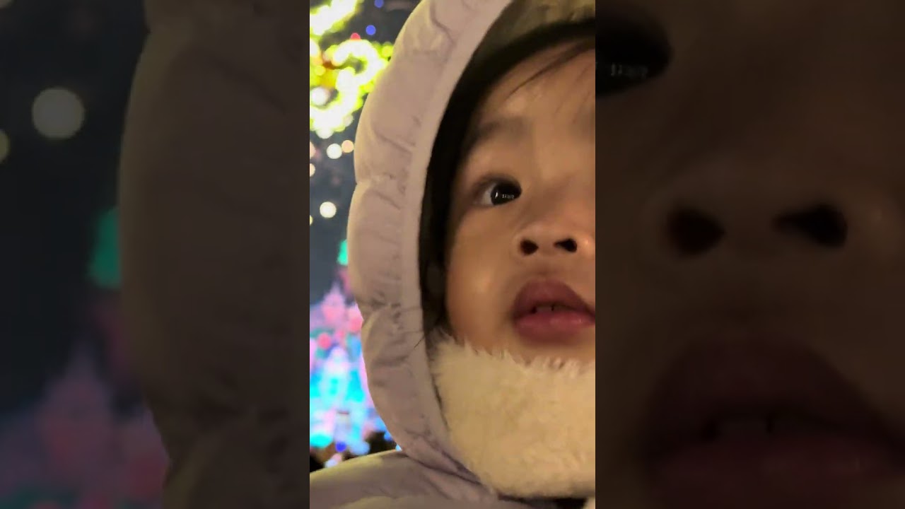 New Year @Shanghai Disneyland