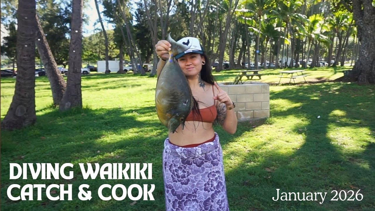 Spearfishing Waikiki Beach Jan. 1 2026 | My 1st Shark sighting + Catch and Cook!