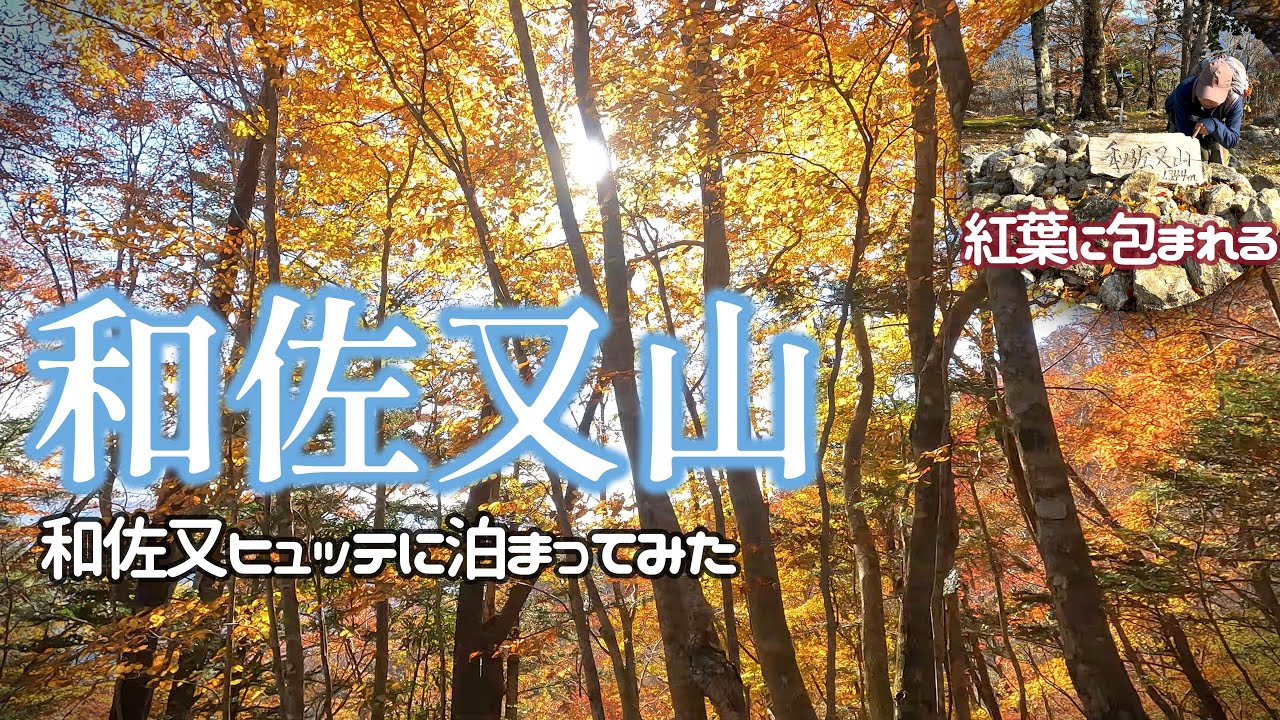 【絶景必見】紅葉の和佐又山で至福の時間を過ごそう！楽々登山、和佐又ヒュッテに泊まってみた