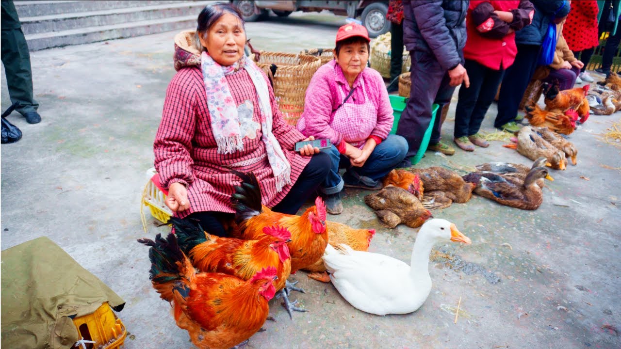 Mercado da aldeia esquecida | Vida de aldeia tradicional chinesa