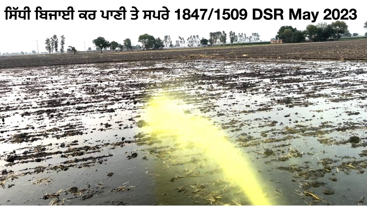 1847:1509 DSR May 2023