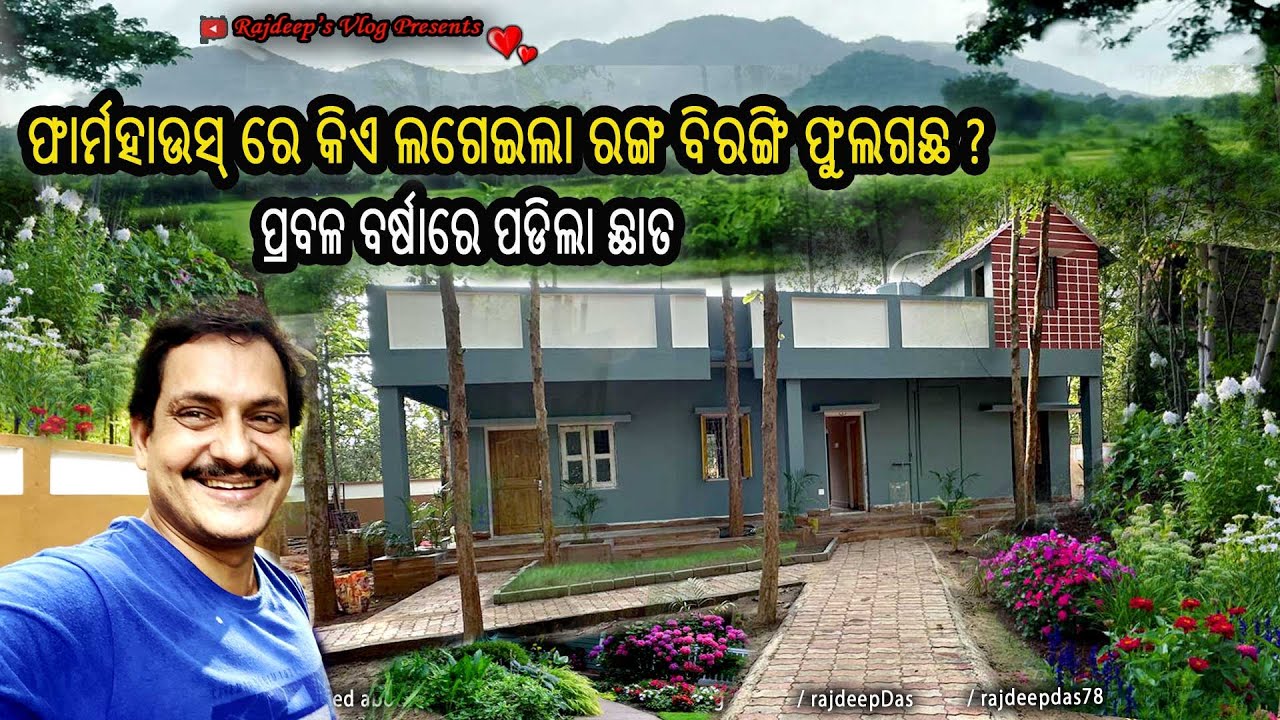 ଫାର୍ମହାଉସ୍ ରେ କିଏ ଲଗେଇଲା ରଙ୍ଗ ବିରଙ୍ଗି ଫୁଲଗଛ ? ପ୍ରବଳ ବର୍ଷାରେ ପଡିଲା ଛାତ | Rajdeep's Vlog  - 217