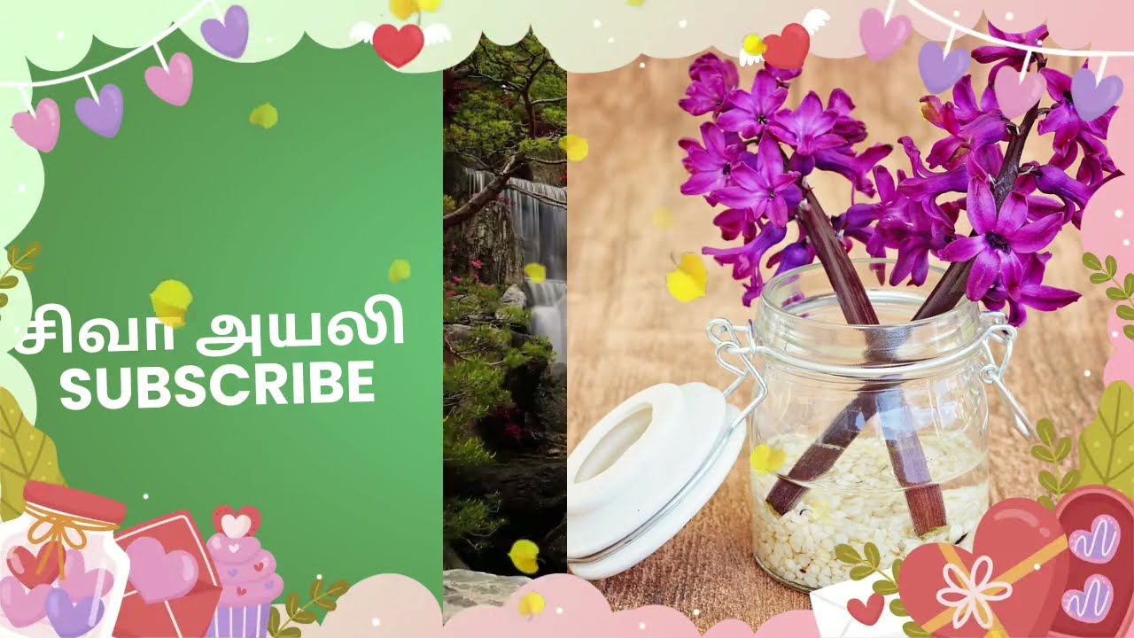 அம்மா உயிரோடு தான் இருக்காங்க அம்மாவின் தோழி போட்டு உடைத்த உண்மை/அயலி 11 பிப்ரவரி 2026