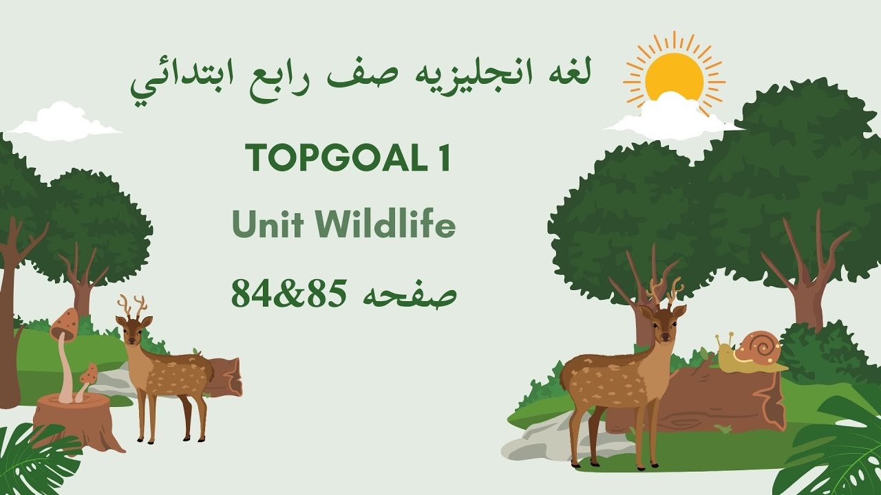 انجليزي TopGoal1| الوحدة السابعة الحيوانات البرية| الدرس الثاني Grammar |صفحة84&85