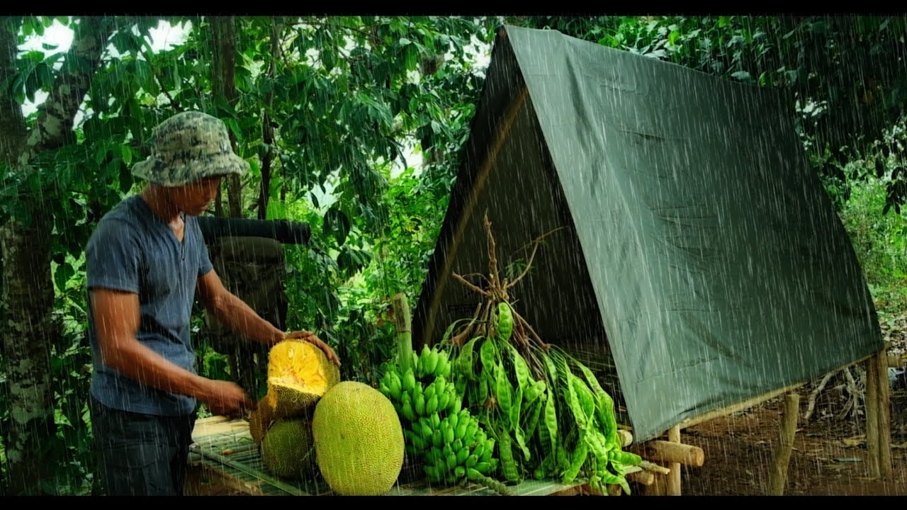 CAMPING PANEN BUAH NANGKA ,PETE,PISANG DI GUYUR HUJAN DERAS TENGAH MALAM