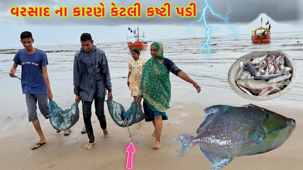 ફુલ વરસાદ મા પણ મસબો મચ્છી લઈ ને આવ્યો 🐳⛴ jahaj nikla 🛳 dariyai khedut@desirasoikathiyawadi 
