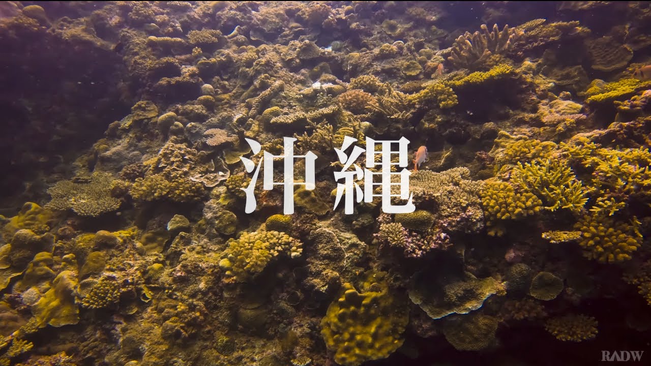 沖縄 &bull; Diving in Okinawa, Summer 2024