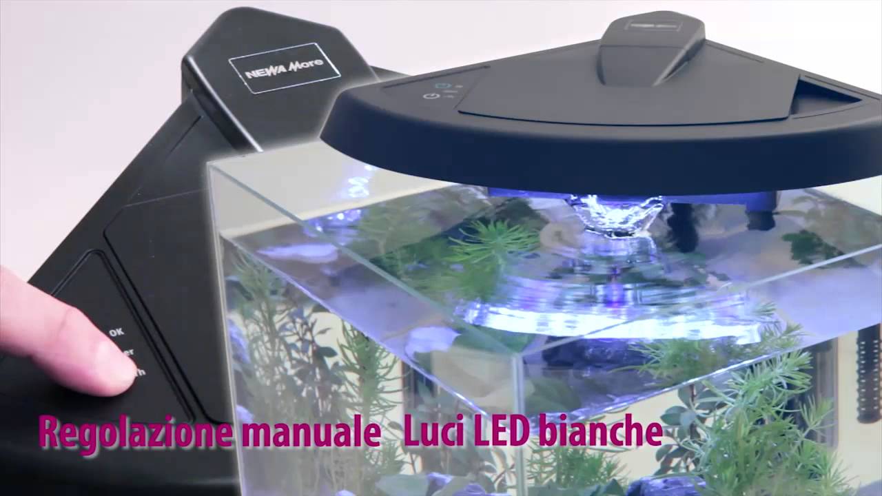 NEWA More, il nuovo acquario 
