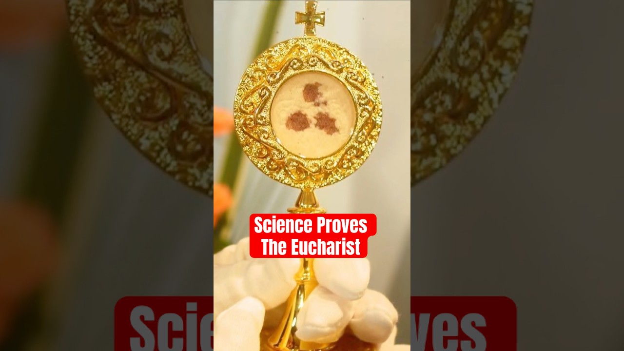 Science Proves The Eucharist