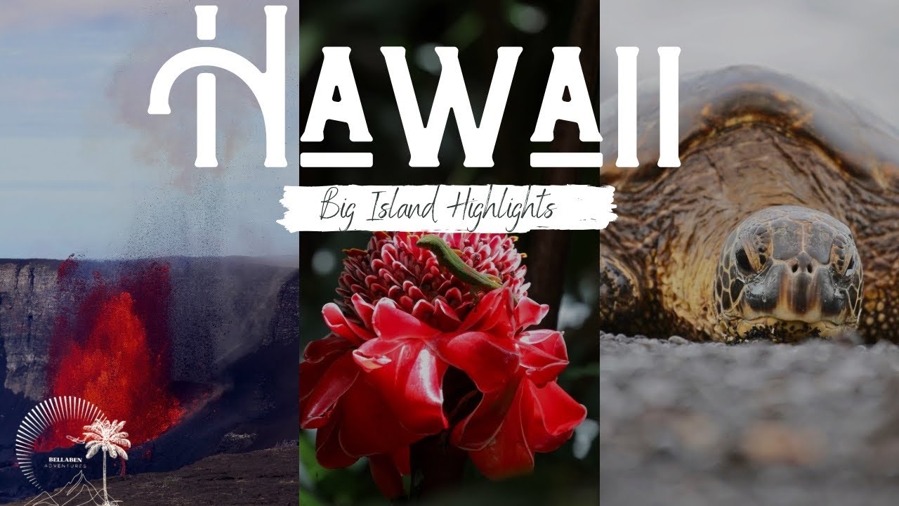 Hawaii Reisedoku Teil 3 | Big Island Hawaii – Das spektakulärste Naturparadies der USA? 🌋🌴