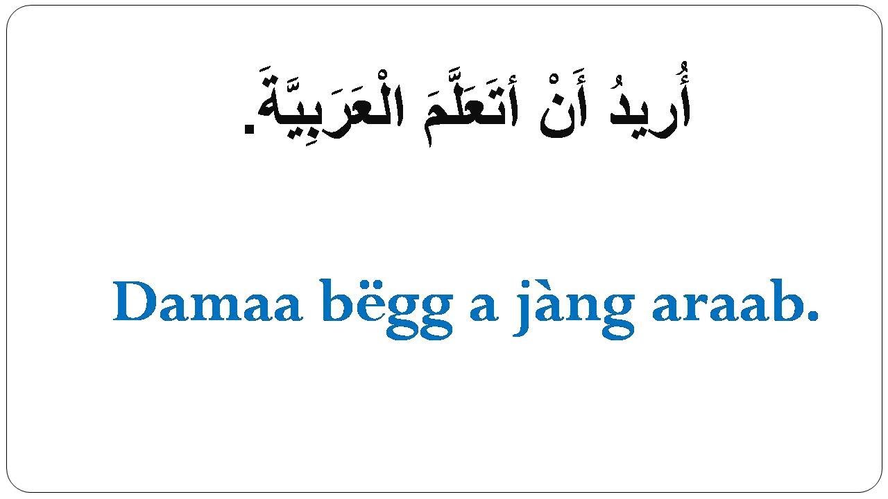 Jàng Araab ci Wolof // Lesson 11_  Expressions You Need to Know in Arabic