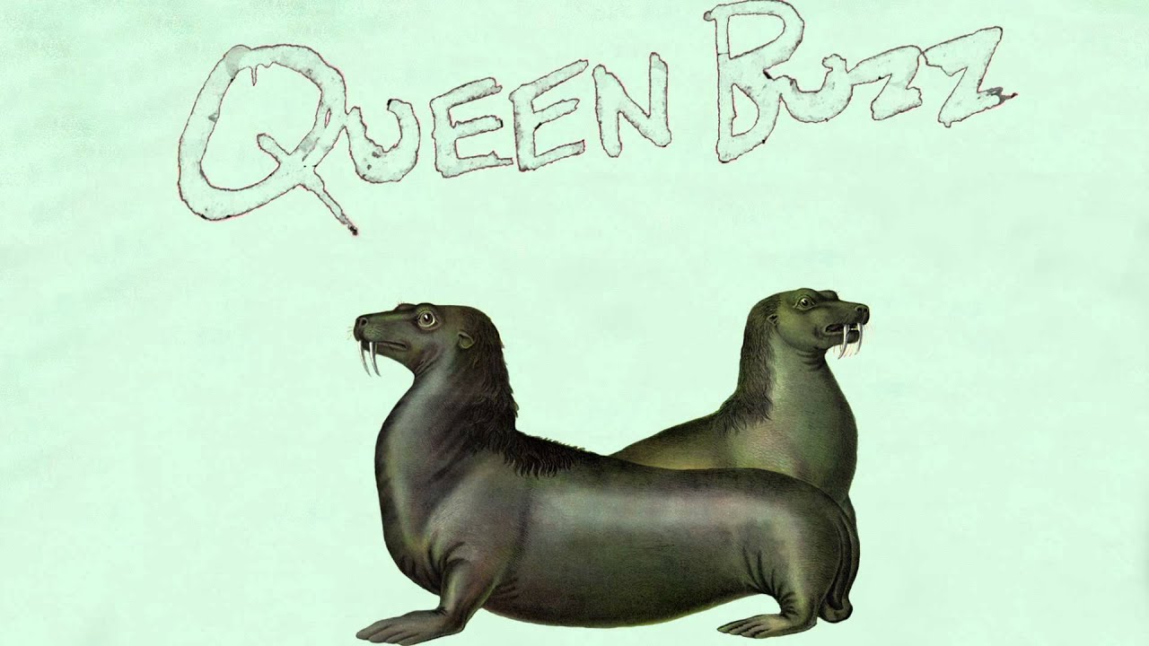 Queen Buzz 