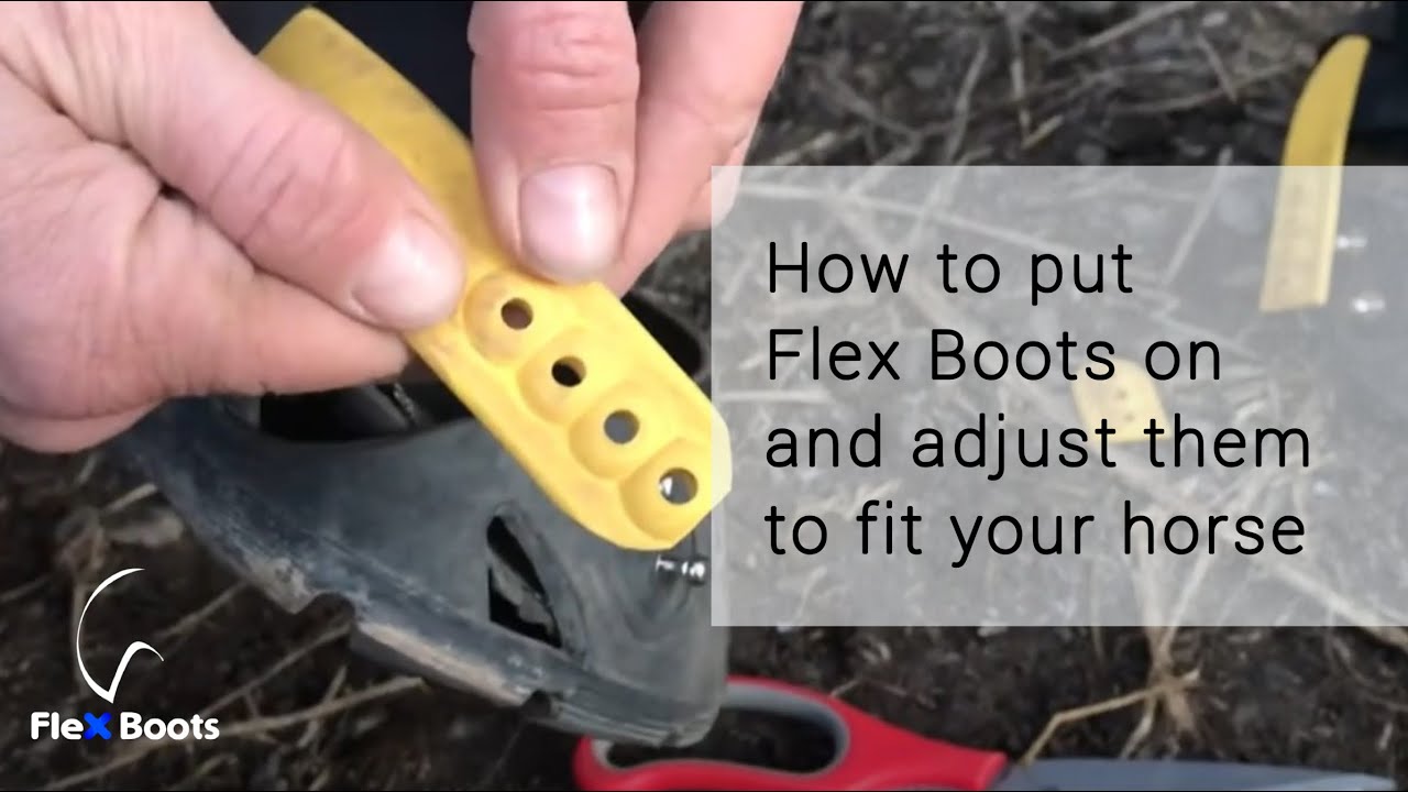 How to put Flex Boots on and adjust them