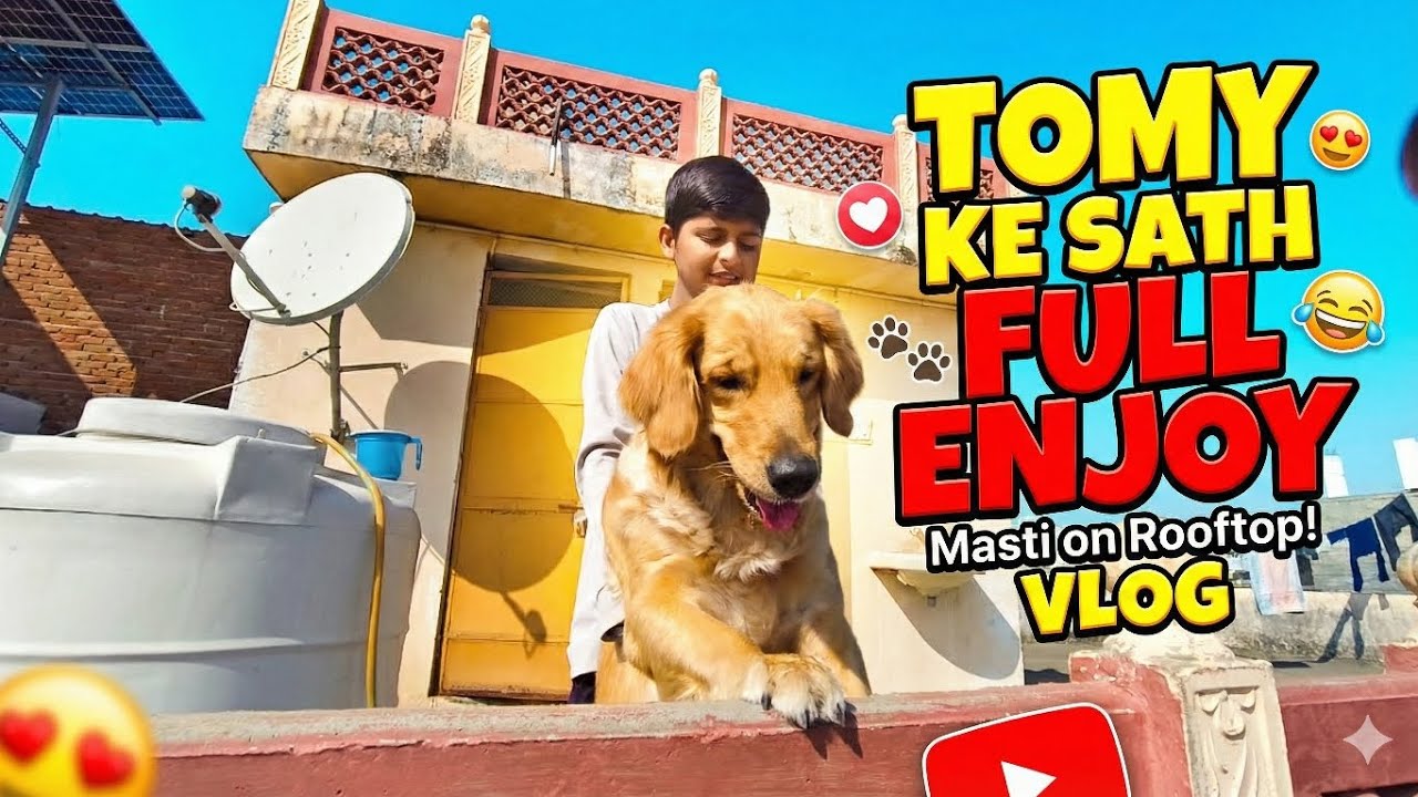 Tomy Ne Kiya Pareshan? 😱 Rooftop Vlog