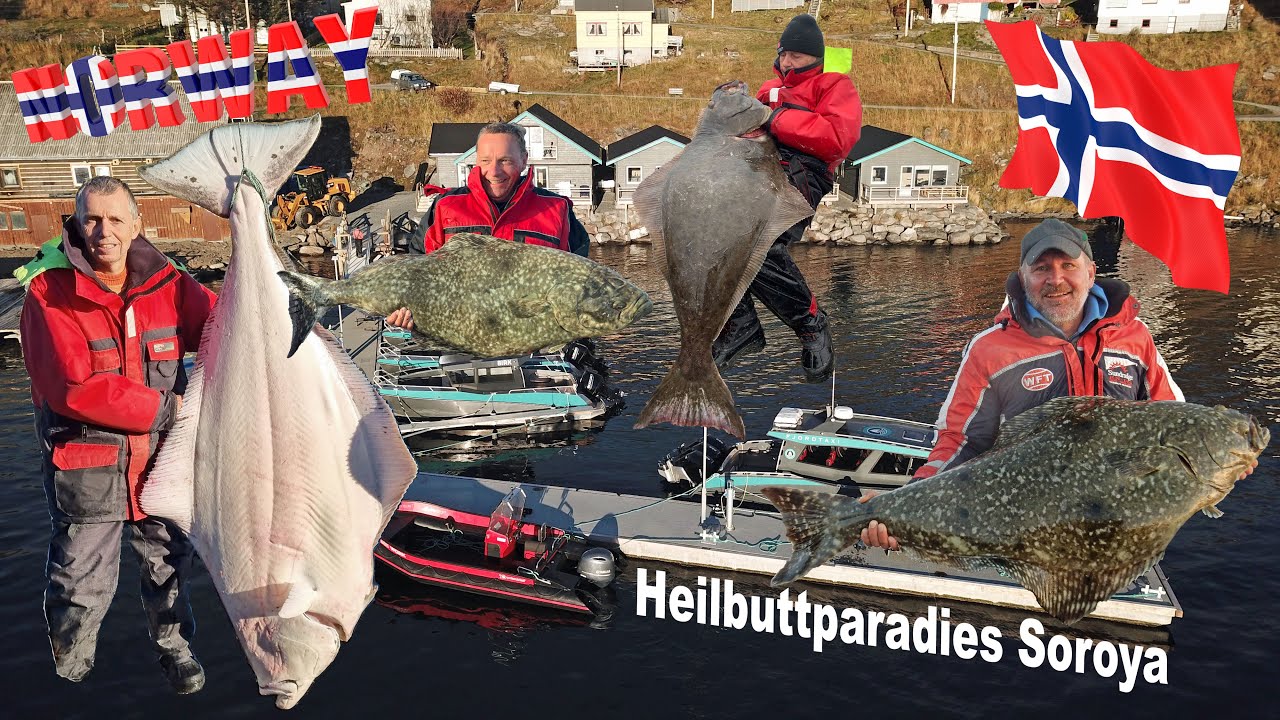 Angeln in Norwegen 2021 - Heilbuttparadies Soroya