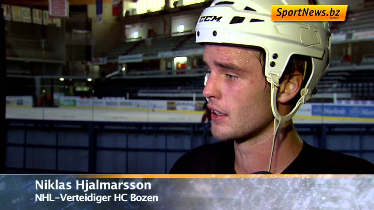 Portrait Niklas Hjalmarsson